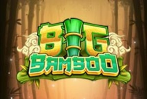 Big bamboo company logo